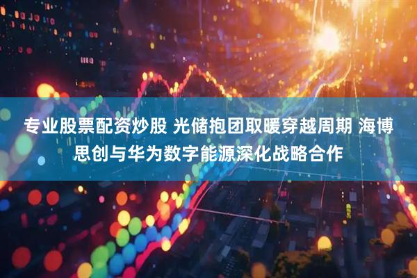 专业股票配资炒股 光储抱团取暖穿越周期 海博思创与华为数字能源深化战略合作