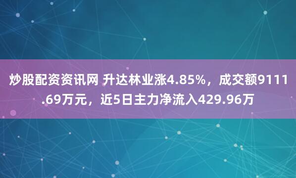 炒股配资资讯网 升达林业涨4.85%，成交额9111.69万元，近5日主力净流入429.96万