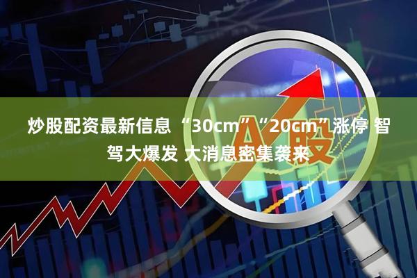 炒股配资最新信息 “30cm”“20cm”涨停 智驾大爆发 大消息密集袭来