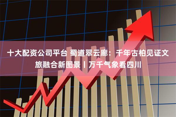 十大配资公司平台 蜀道翠云廊：千年古柏见证文旅融合新图景丨万千气象看四川