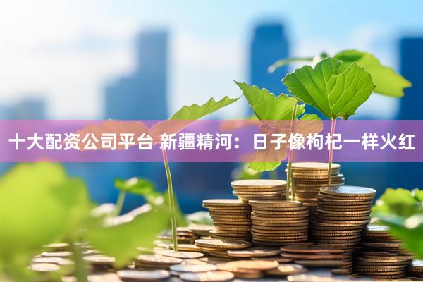 十大配资公司平台 新疆精河：日子像枸杞一样火红
